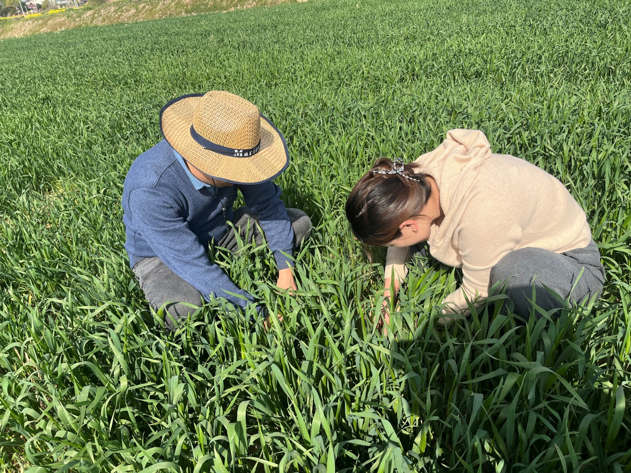 图片5.png 图片5.png