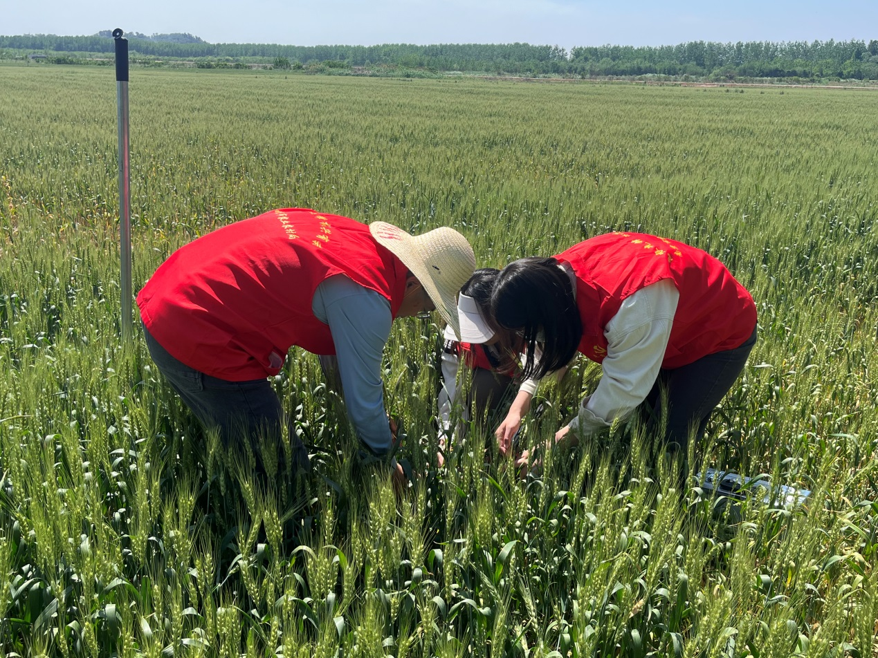 图片4.png 图片4.png