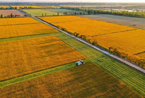 徐州市睢宁县高作镇高标准农田建设项目